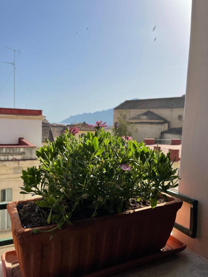 A Casa Di Stella Διαμέρισμα Σαλέρνο Εξωτερικό φωτογραφία
